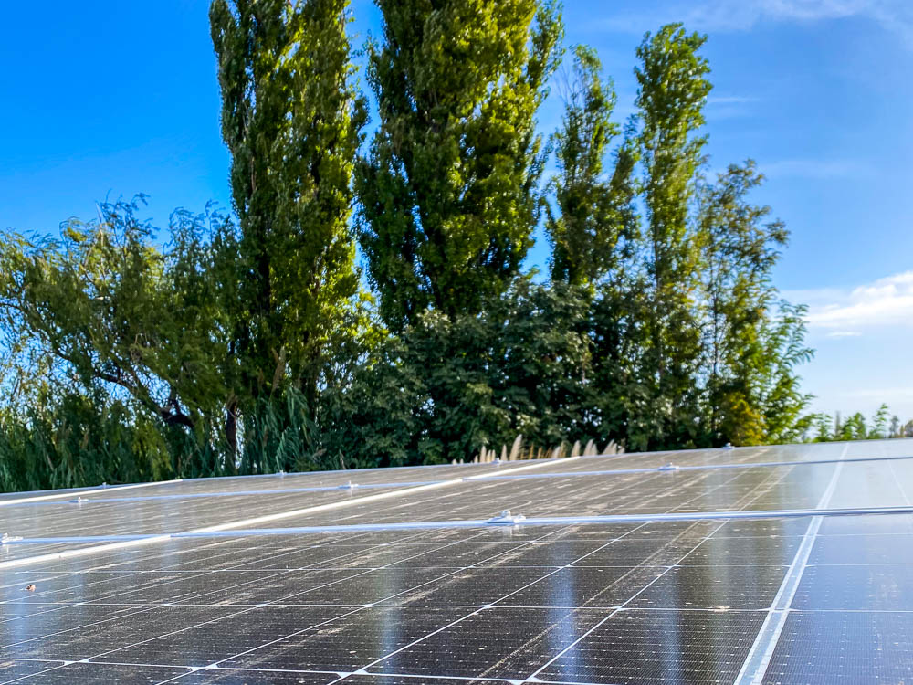 Finca Desafío del Inmigrante 1